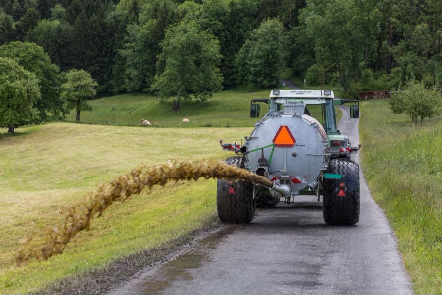 Viele Luzerner Bäuerinnen und Bauern konnten deswegen die Gülle mit den Maschinen nicht auf ihren Feldern ausbringen. (Symbolbild)