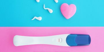 Positiver Schwangerschaftstest, Darstellung von Spermien, Empfängnis, Befruchtung