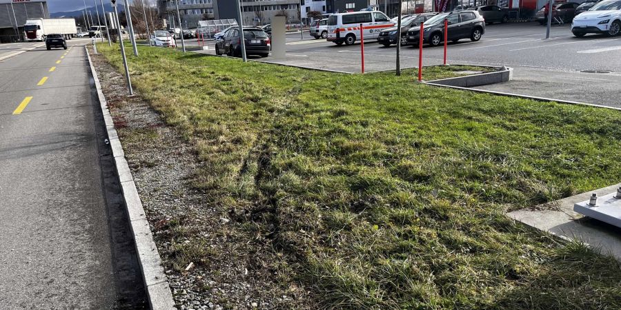 Fahrunfähiger Autofahrer gestoppt.