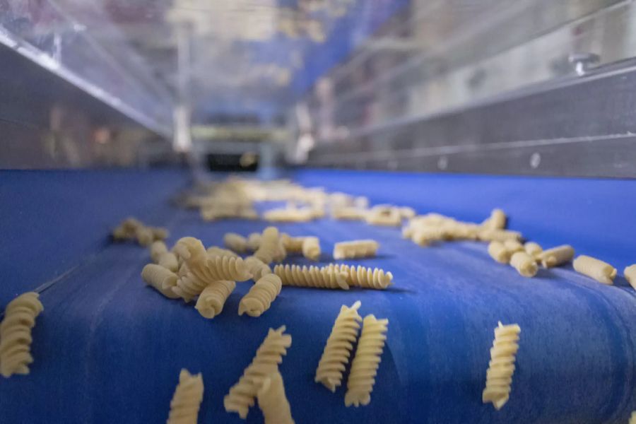 Pasta