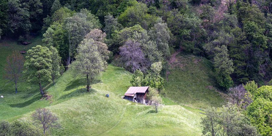 Landschaft oberhalb von Naters.