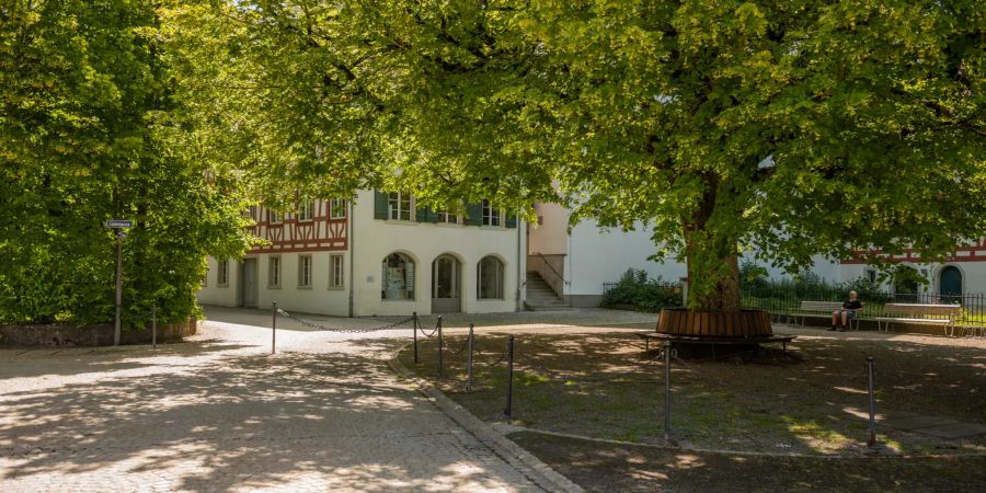 Der Lindenplatz in der Gemeinde Elgg.