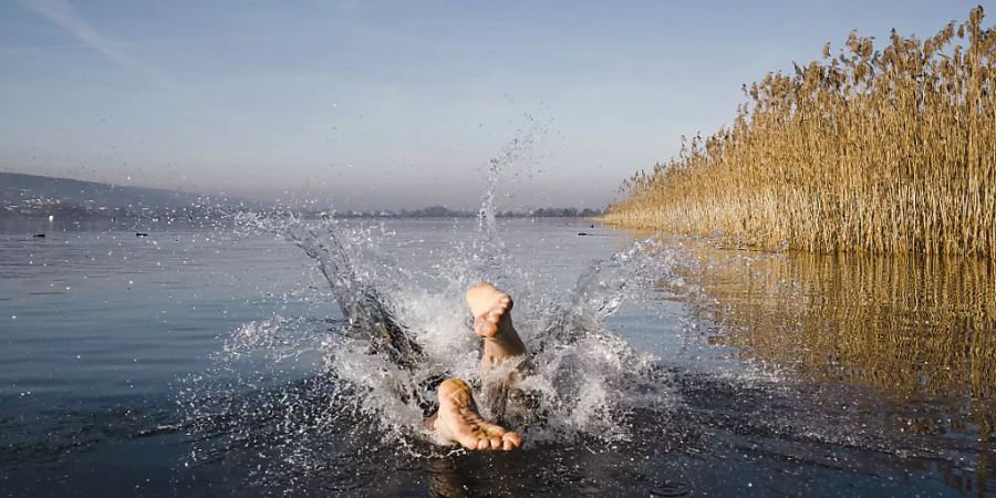 Ein Mann stürzt sich am Neujahrstag 2022 bei frühlingshaften Temperaturen kopfüber in den Greifensee.