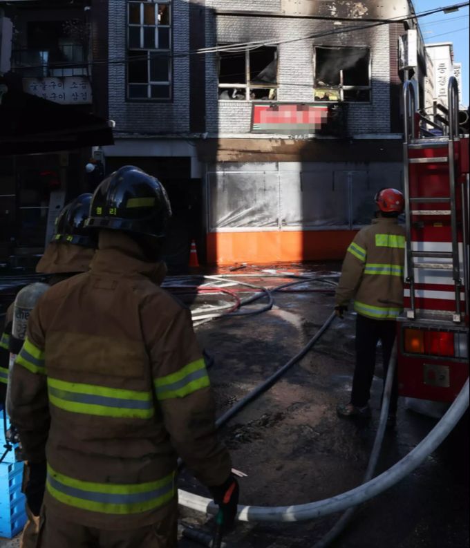 Die Feuerwehr in Südkorea muss immer wieder wegen Katzen ausrücken. Katzen