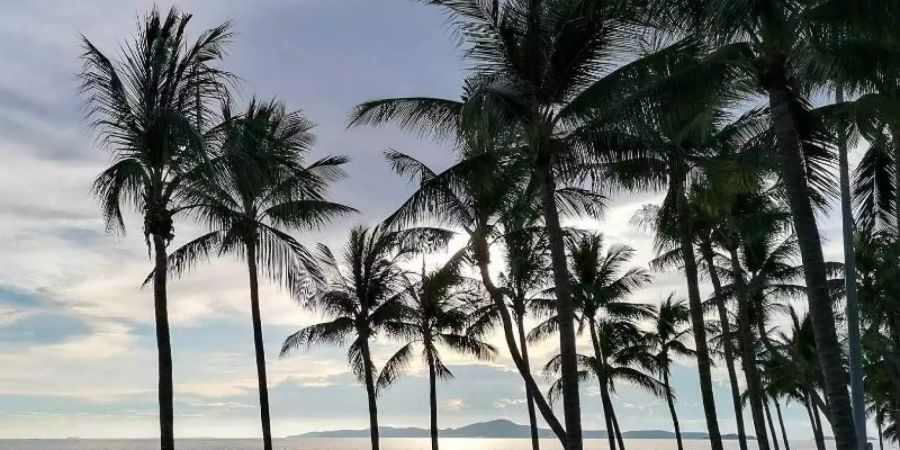 Ein leerer Strand in Pattaya. Nun sollen die Touristen zurückkehren. Foto: Watt Thongdee/dpa