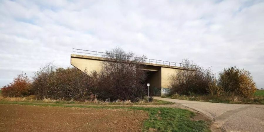 Eine ungenutzte Brücke für eine nicht fertiggestellte Strasse steht am Rande eines Feldes in Euskirchen - von Bäumen umwachsen. Der Bund der Steuerzahler stellt das Schwarzbuch 2021/22 vor. Foto: Oliver Berg/dpa
