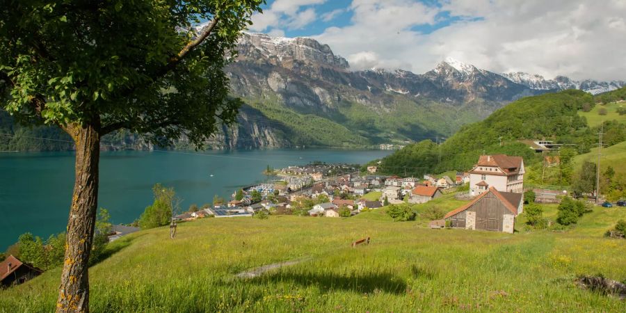 Blick auf Unterterzen in Quarten am Walensee.