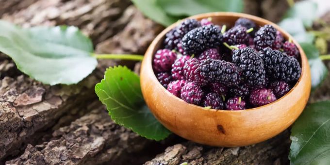 Genuss mit Nau - Die Maulbeere: Neue Superfrucht für den Herbst