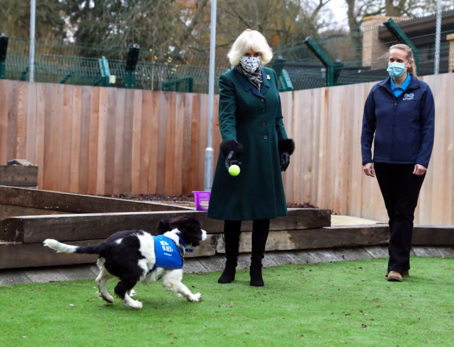 Herzogin Camilla Hund Beth