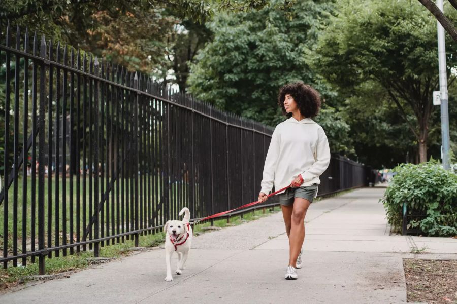 Frau mit Hund.