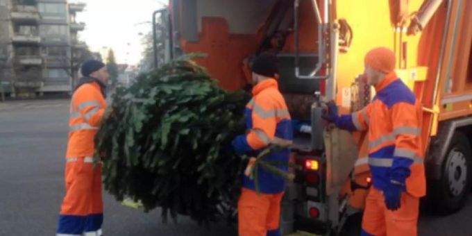 Tiefbauamt entsorgt Weihnachtsbäume kostenlos.