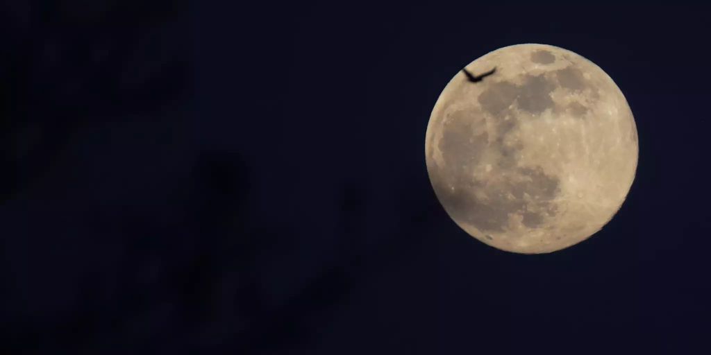 Nächster Vollmond am Donnerstag zu sehen