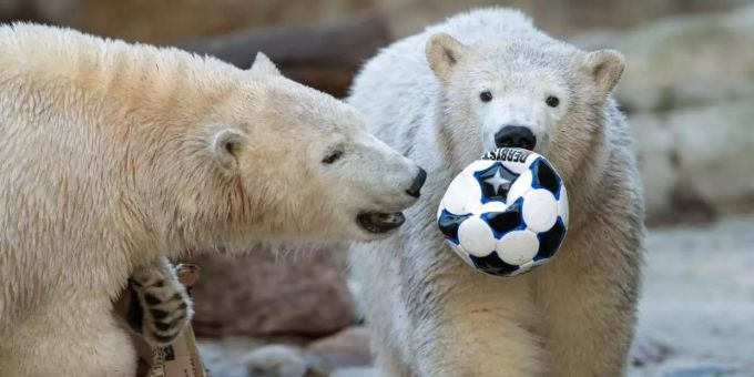 Zum Geburtstag gab es einen Ball. Foto: Sina Schuldt/dpa Zum Geburtstag gab es einen Ball. Foto: Sina Schuldt/dpa