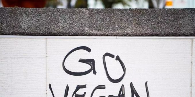 Die virale Aktion «Veganuary» wurde im Jahr 2014 ins Leben gerufen. Foto: Andreas Arnold/dpa/Illustration Die virale Aktion «Veganuary» wurde im Jahr 2014 ins Leben gerufen. Foto: Andreas Arnold/dpa/Illustration