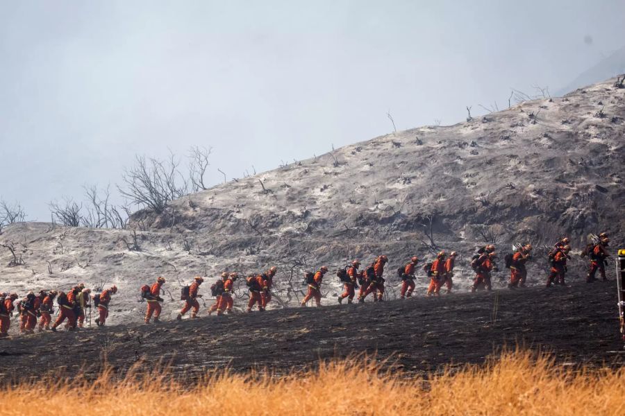 waldbrand