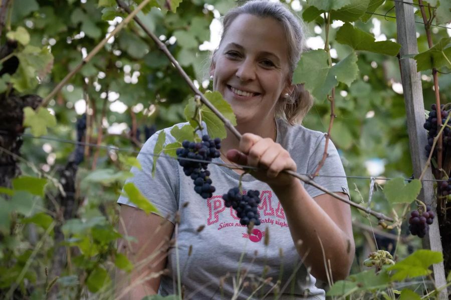 Das Team von Vignerons de Berne: Katja Riem.