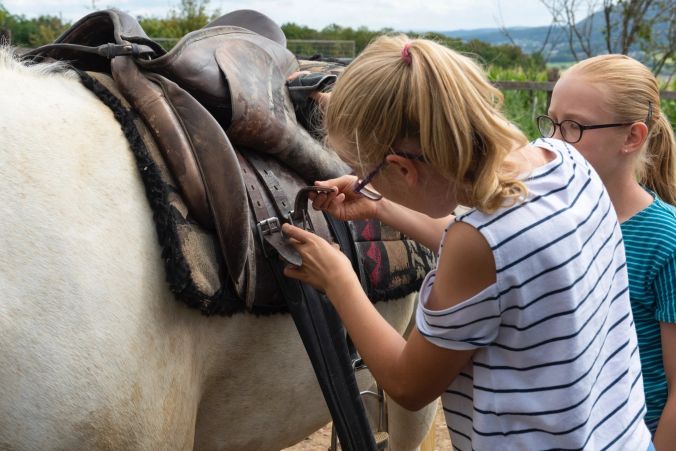 Kinder und Jugendliche lernen den richtigen Umgang mit Pferden.