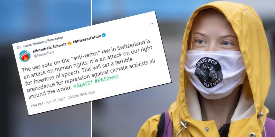 Greta Thunberg Klimastreik