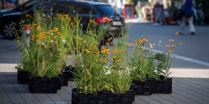 Üppige Blumeninseln für die Hafenstadt