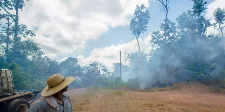 Ein brasilianischer Farmer beobachtet einen Waldbrand bei Alto Rio Guama. Foto: João Paulo Guimarães/dpa