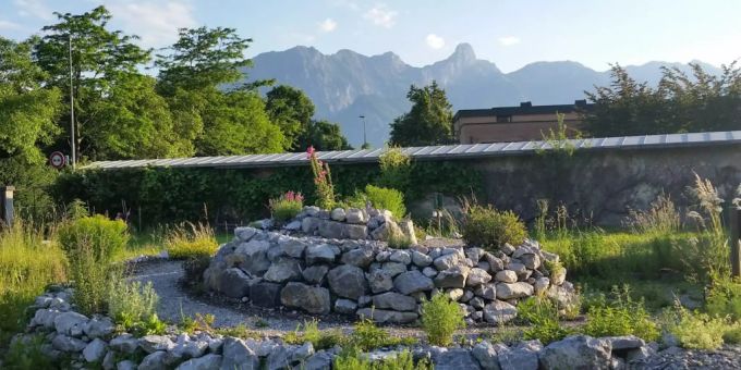 Die Schadaugärtnerei in Thun Energiewende Steffisburg