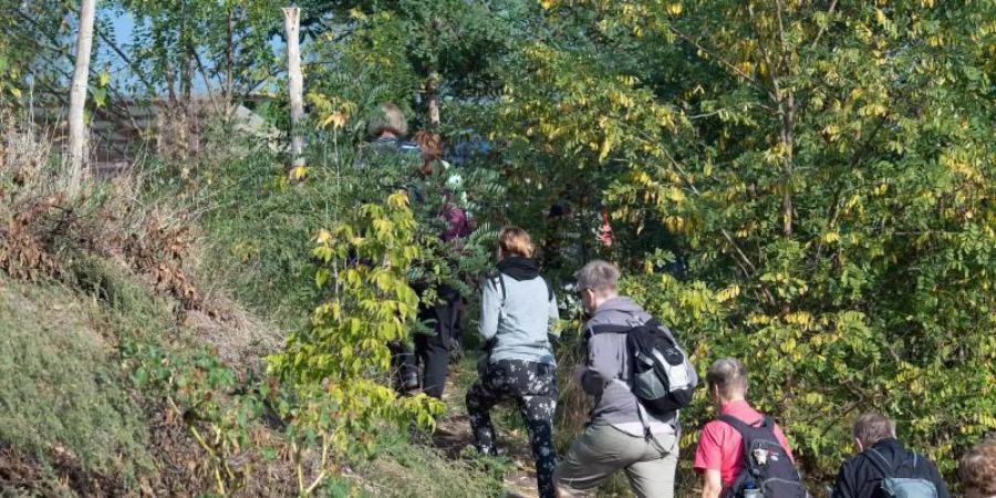 Die von Wanderführer Manfred Reschke geleitete Gruppe geht vom Ufer der Warthe in Richtung Stadt. Foto: Soeren Stache/zb/dpa