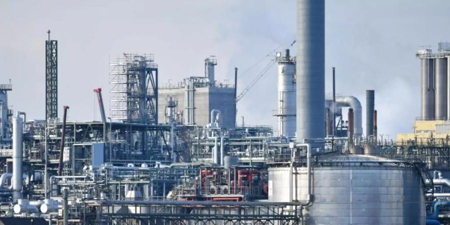 Anlagen des Chemiekonzerns BASF auf dem Werksgelände in Ludwigshafen. Foto: Uwe Anspach/dpa
