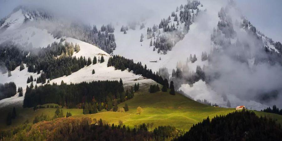 Schnee Freiburger Voralpen