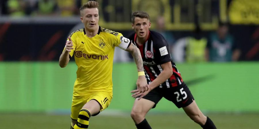 bvb Marco Reus