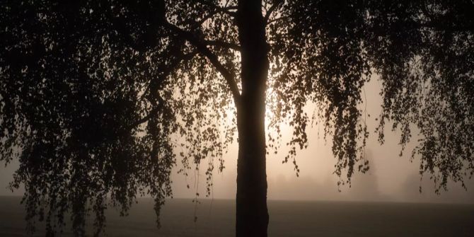 Nebel Schweiz WEtter