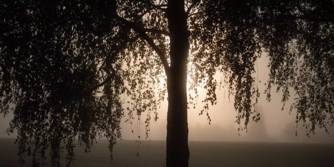 Im Mittelland gibt es diese Woche meist ein nebliges Erwachen. Nebel Schweiz WEtter