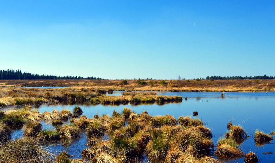 Moor Wasser Torf Himmel