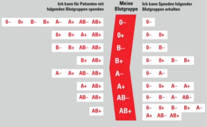 Damit man für jemanden mit einer anderen Blutgruppe Blut spenden kann, müssen diese untereinander kompatibel sein. Blutgruppen