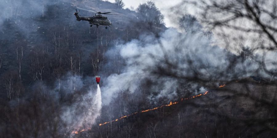 Waldbrand