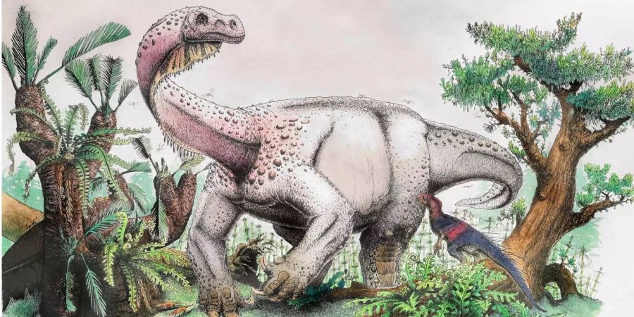 Die künstlerische Darstellung zeigt einen Dinosaurier der Art «Ledumahadi mafube» (frei übersetzt etwa «Donnergroll im Morgengrauen»).