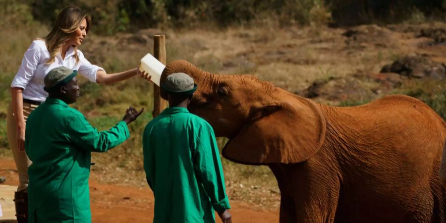 Zwei Pfleger des David Sheldrick Elefanten- und Rhinozeros-Waisenhauses im Nairobi National Park geben der US-First Lady Melania Trump Anweisungen, wie man einen Baby-Elefanten mit der Flasche füttert.