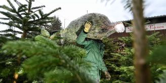 Gemeinde - Waltenschwil informiert über den Christbaumverkauf 2021