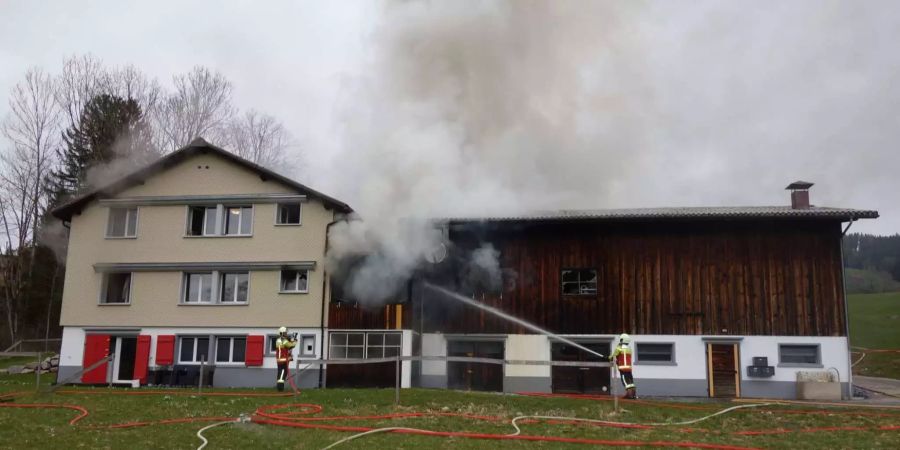 Die Feuerwehr beim Löscheinsatz.