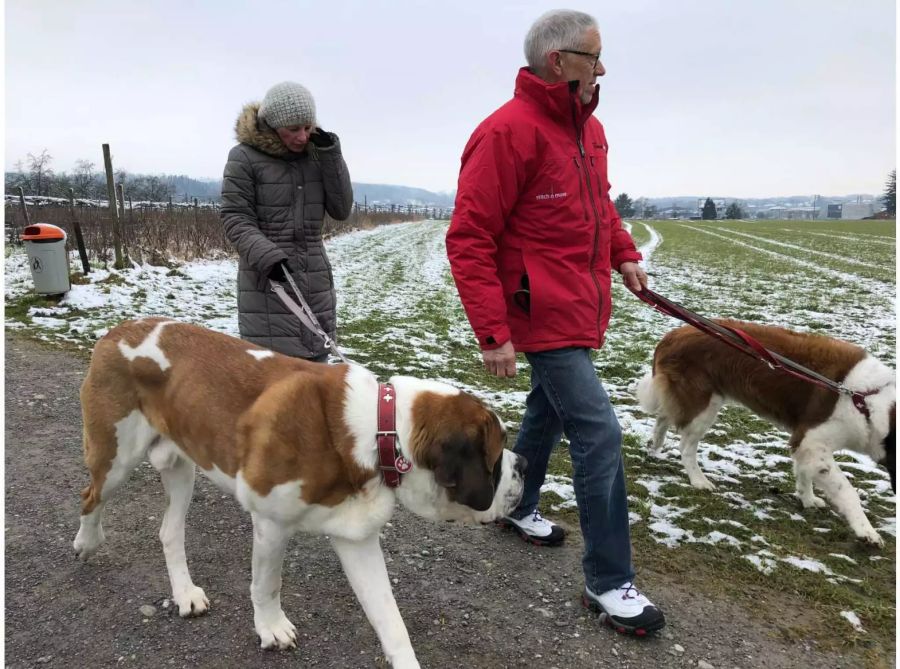 Peter Glaus ist mit seinen Hunden wöchentlich in Behinderten- oder Alterheimen zu Besuch.