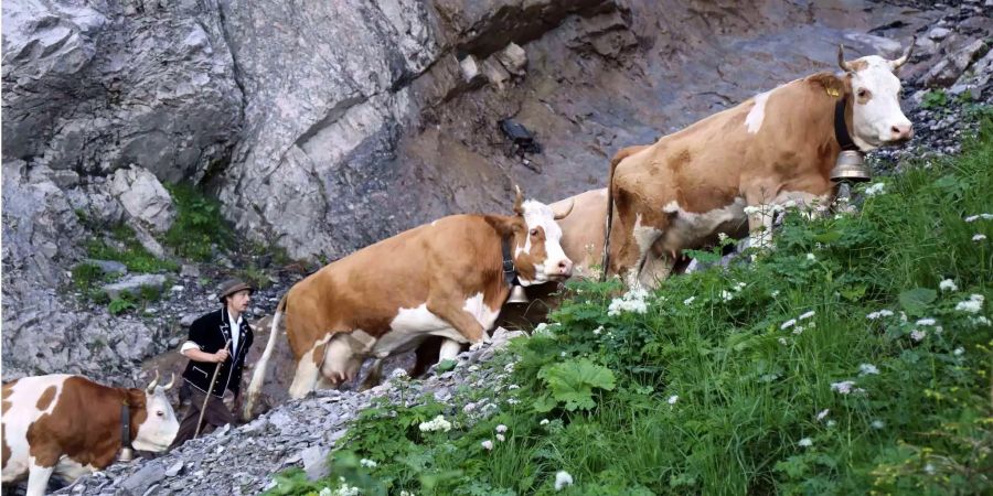 Auf geht's auf die Engstligenalp!