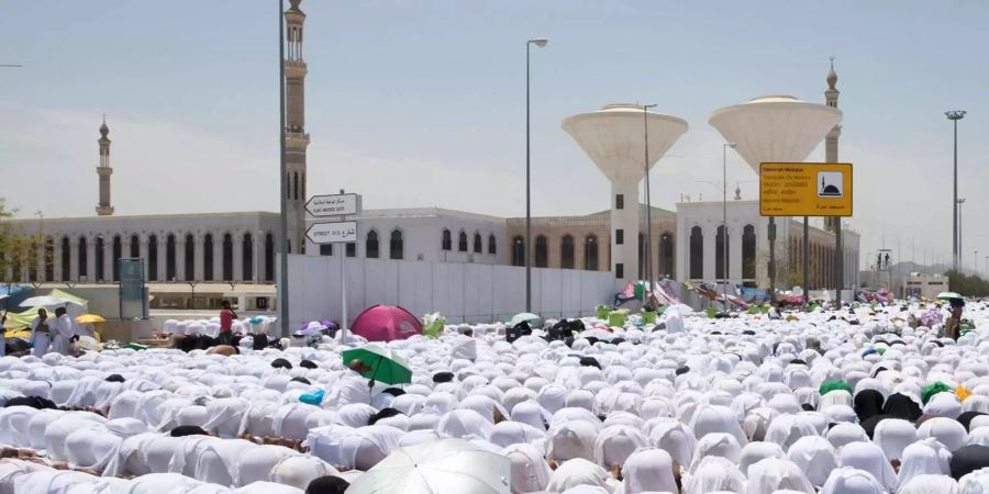 Muslimische Pilger beten vor der Namira-Moschee am Berg Arafat während