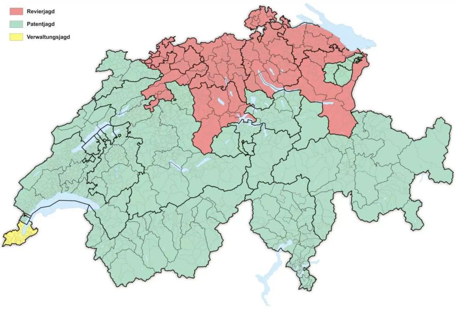 Die Kantone mit Revier-Jagd erhielten Vorteile gegenüber denjenigen mit Patent-Jagd