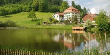 Der Magdenauer Weiher befindet sich in einem guten Zustand.