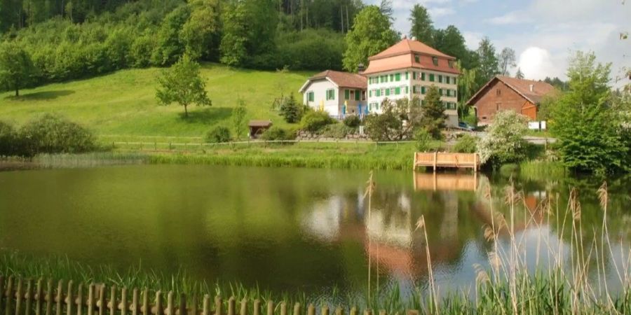 Der Magdenauer Weiher befindet sich in einem guten Zustand.
