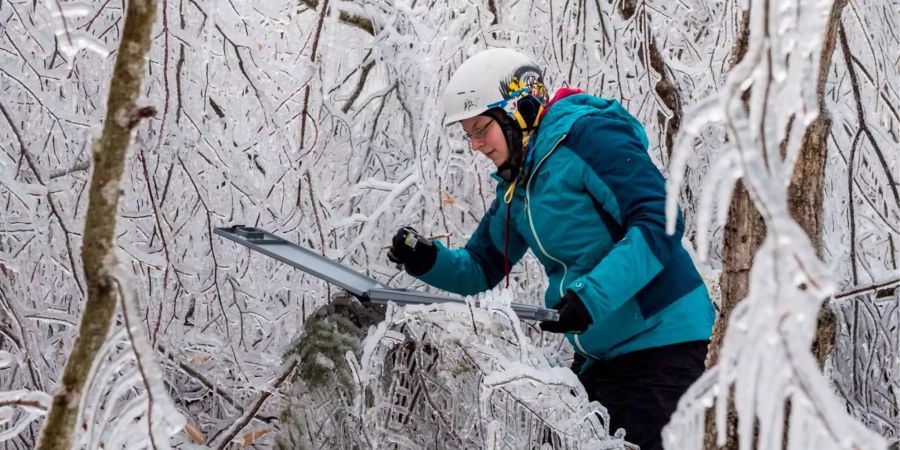 Forscher wollen die Langzeitauswirkungen untersuchen.