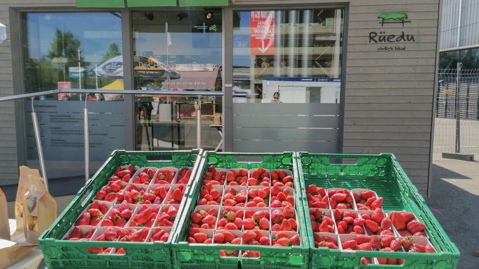 Wer nachhaltig einkauft, tut nicht nur der Umwelt etwas Gutes. Süsse Schweizer Erdbeeren findest du in den Rüedu-Hofläden. Erdbeeren Saison