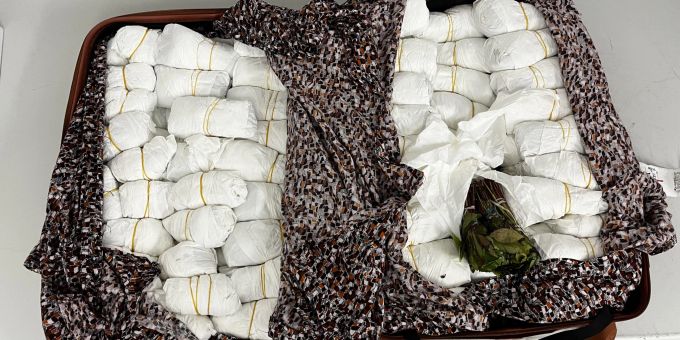 Sichergestelltes Khat Sichergestelltes Khat
