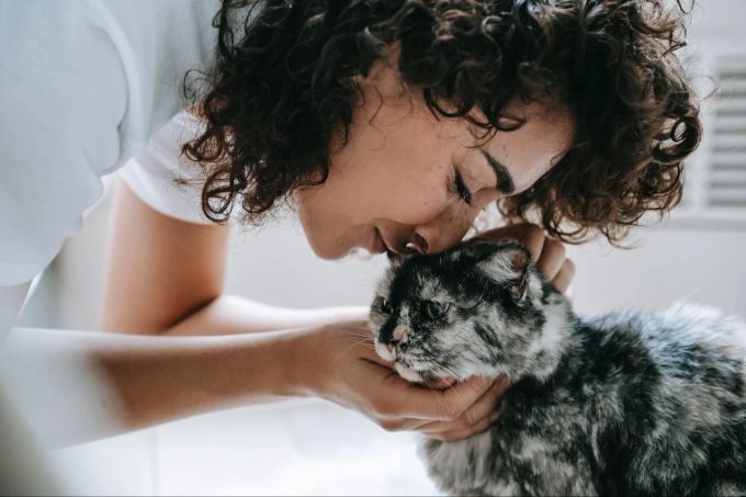 Beisst die Katze bei Berührungen, müssen Sie mit dem Training behutsam vorgehen. Aber: nicht alle Katzen mögen solche intensive Streicheleinheiten wie auf dem Bild. Frau mit Katze