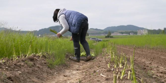 ukraine flüchtlinge