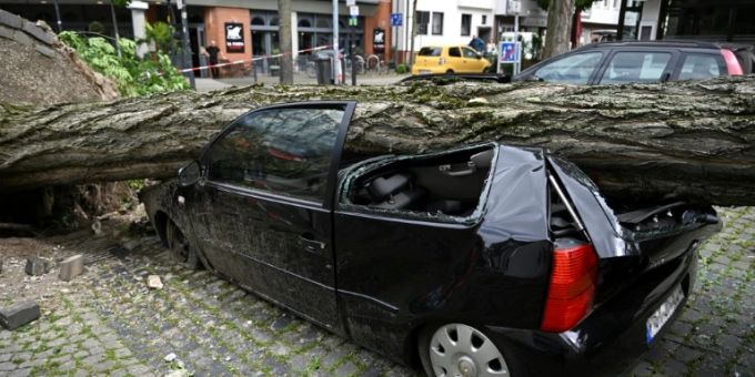 Von Baum getroffenes Auto in Paderborn Von Baum getroffenes Auto in Paderborn